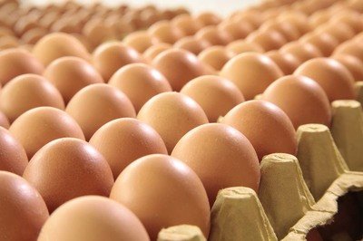 邵阳鸡蛋检测价格,鸡蛋检测机构,鸡蛋检测项目,鸡蛋常规检测